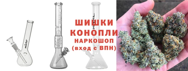 spice Алзамай