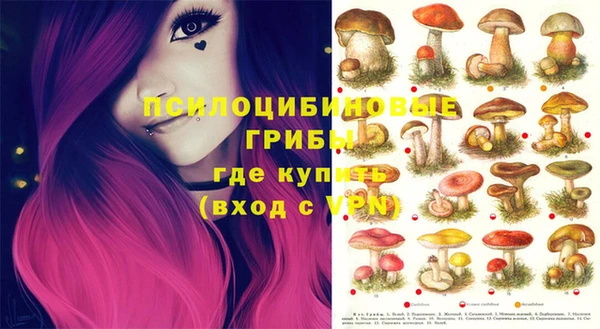 spice Алзамай